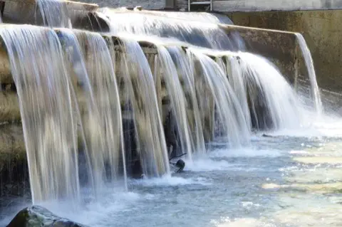 Wasser in der Natur