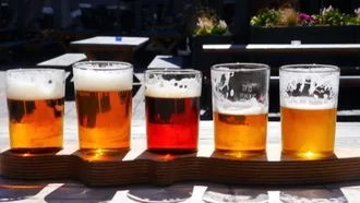 Würze Bier